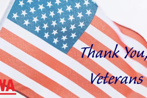 Veterans Day Graphic