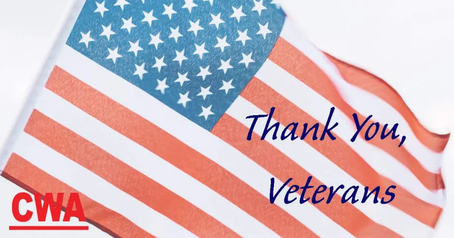 Veterans Day Graphic