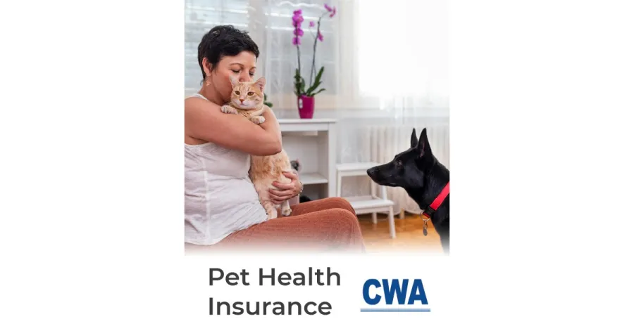 Union Plus Pet Insurance